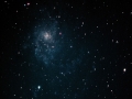 M33