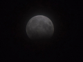 BelBurn-3