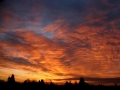 Dave_Allan_3