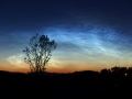 NLC May 2013_2